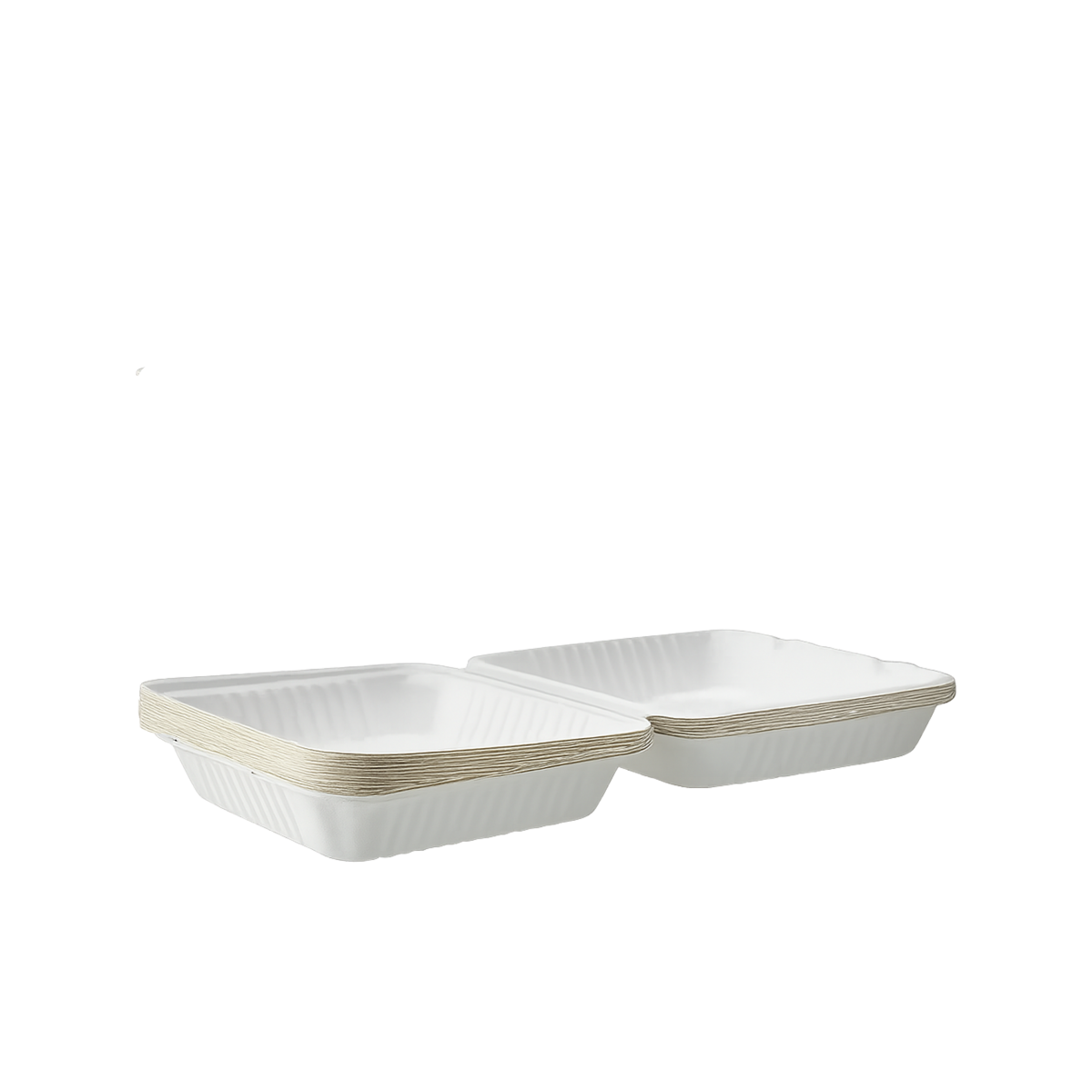 Ảnh 6
